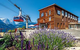 Hotel Panorama